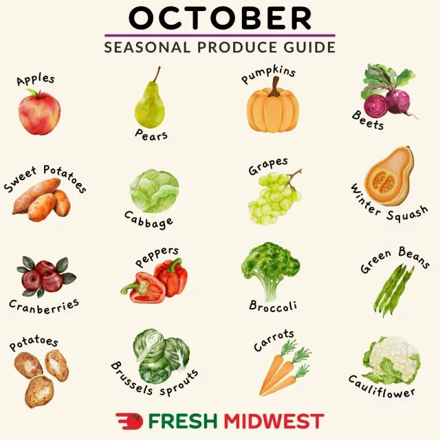 October is here, and we've got your back with the ultimate guide to this month's best produce!🍎🥦🎃

We quality check and hand-select each piece of produce, and it stays refrigerated all the way to your door!

Tap the link in our bio to shop in season produce! 
.
.
.
.
#SupportLocal#ShopSmallBusiness#FreshMidwest#GroceryDelivery#OnlineGrocery#DeliveryService#FoodDelivery#DoorStepDelivery#OnlineGroceryShopping#NoContactDelivery#ShopSmall#SmallBusiness#ShopLocal#LocalDelivery#InstaFood#DinnerIdeas#FoodGram#HomeCooking#midwest#chicago#wisconsin#picoftheday#mealkit#dinner#healthydinner #lunch #backtoschool #school #octoberproduce