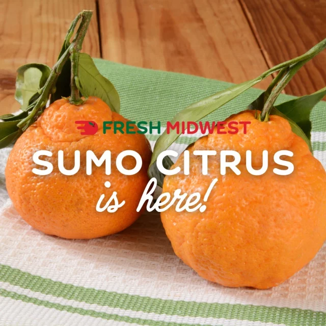 Sumo Citrus is back—and it's here for the season! 🍊✨

Known for its incredible sweetness, easy-to-peel rind, and juicy perfection, this seasonal favorite won't be around for long.

Fun History: Sumo Citrus, also known as Dekopon, originated in Japan in the 1970s. It’s a hybrid of a Kiyomi tangor and a Ponkan mandarin, carefully bred for its size, sweetness, and unique knobby top. It took over 30 years of cultivation to perfect this fruit, as growers wanted a seedless, easy-to-peel citrus that delivered unmatched flavor. It debuted in the U.S. in 2011 and has since become a seasonal sensation!