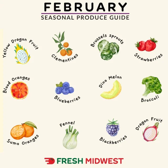 February is here, and we've got your back with the ultimate guide to this month's best produce!🍊🥦🫐

We quality check and hand-select each piece of produce, and it stays refrigerated all the way to your door!

Tap the link in our bio to shop produce!